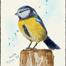 Birds. Un progetto di Animazione 2D, Animazione 3D, Disegno digitale, Illustrazione digitale e Scrittura di Istvan Tomasovszki - 20.01.2021