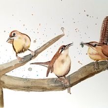 My project in Artistic Watercolor Techniques for Illustrating Birds course. Watercolor Painting project by ildeliza - 01.20.2021