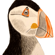 Mi Proyecto del curso: Ilustración naturalista de aves con acuarela. Un proyecto de Ilustración naturalista				 de Marina Aliende - 21.01.2021