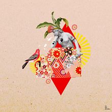 NO es NO. Collage project by Ariel Menchaca Calandroni - 01.21.2021