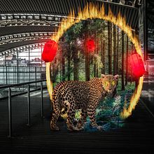 Mi Proyecto del curso: Secretos del fotomontaje y el retoque creativo. Un progetto di Composizione fotografica di Santiago Guemberena - 22.01.2021
