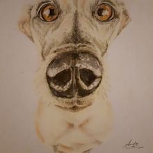 Proyecto pasteles. Drawing project by Andrea Merino - 01.22.2021