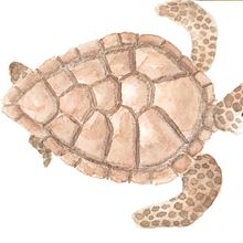 Mi Proyecto del curso: Técnicas experimentales de acuarela para principiantes  Ein Projekt aus dem Bereich Zeichnung von María Isabel Martínez del Moral - 23.01.2021