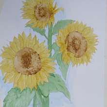 Mi Proyecto del curso: Técnicas experimentales de acuarela para principiantes . Watercolor Painting project by Johan Muñoz Medina - 01.23.2021