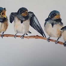 hungry little swallow family. Watercolor Painting project by Anouk Jacobs - 01.23.2021