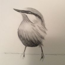 My project in Artistic Watercolor Techniques for Illustrating Birds course. Sketching project by Patty - 01.24.2021