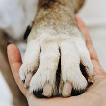 Trabajos anteriores. Instagram Photograph project by esentarrafeta - 12.20.2020