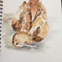 Little things lying around. Watercolor Painting project by wboot - 01.24.2021