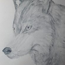 Mi Proyecto del curso: Técnicas experimentales de acuarela para principiantes . Een project van Aquarelschilderen van Maribel de la Torre - 25.01.2021