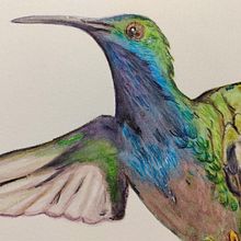 Mi Proyecto del curso: Ilustración naturalista de aves con acuarela: Colibrí. Traditional illustration, and Naturalistic Illustration project by Ezequiel Vizcaino - 01.22.2021