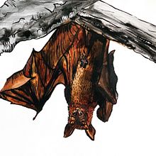 Upside down.. Artistic Drawing, Children's Illustration, Creativit, and Watercolor Painting project by Anette Krištofová - 01.25.2021
