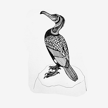 Mi Proyecto del curso: Cormorán. Un proyecto de Diseño de tatuajes de Gabriela Cárdenas - 26.01.2021