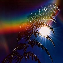 Meu projeto do curso: Composição e edição de fotos para Instagram. Projekt z dziedziny  Fotografia lifest i le użytkownika José Dias - 26.01.2021