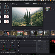 Mi Proyecto del curso: Edición y postproducción de una webserie con DaVinci Resolve. Film, Video, TV, Video, Video Editing, Audiovisual Post-production, Color Correction, and Design project by Tam González - 01.26.2021