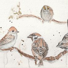My project in Artistic Watercolor Techniques for Illustrating Birds course. Watercolor Painting project by Kimberly DePalmer - 02.16.2021