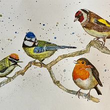 My project in Artistic Watercolor Techniques for Illustrating Birds course. Watercolor Painting project by Laura Scott - 01.30.2021