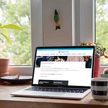 Diseño y desarrollo web. Un proyecto de Desarrollo Web, Diseño gráfico y Diseño Web de Patricia Herrada - 13.09.2017