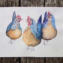 My project in Artistic Watercolor Techniques for Illustrating Birds course. Traditional illustration, Watercolor Painting, Realistic Drawing, and Naturalistic Illustration project by Vilda - 01.28.2021