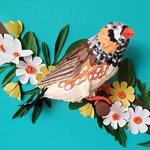 Ave Diamante Mandarín. Projekt z dziedziny Craft,  Sztuki piękne, Kreat, wność, Design, Rzeźba i Papercraft użytkownika Maria Dolores Aguilar - 29.01.2021