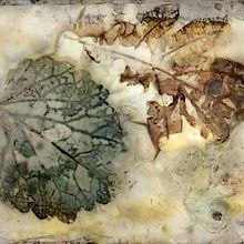Ecoprint auf Papier . Upc, and cling project by Eloma - 01.29.2021
