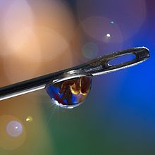 Mi Proyecto del curso: Introducción a la fotografía macro. Un proyecto de Fotografía de Valerie Lemaire Giacchetti - 31.01.2021