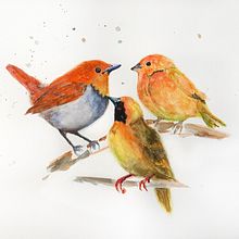 My project in Artistic Watercolor Techniques for Illustrating Birds course. Watercolor Painting project by Cassandra Knight - 01.30.2021