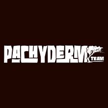 Pachyderm Team. Un proyecto de Creatividad, Dibujo digital, Diseño, Diseño de logotipos, Diseño de personajes, Diseño digital, Diseño gráfico, Ilustración tradicional, Ilustración vectorial, Infografía y Señalética de Adan Gómez - 30.01.2021