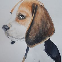 My project in Experimental Watercolor Techniques for Beginners course. Watercolor Painting project by Anouk Jacobs - 01.30.2021