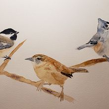 Bird composition 1. Watercolor Painting project by Keri Panatier - 01.31.2021
