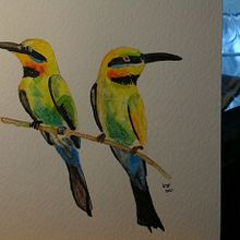 Bee Eaters - 2021. Watercolor Painting project by Keri Panatier - 01.31.2021