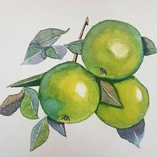 Grapefruits . % Melanie Teegarden tarafından hazırlanan Sulubo, Ve a Resim projesi - 02.01.2021