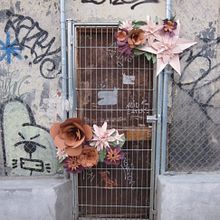 Madrid Blooming. Street Art project by Marta Herrero Arias - 02.01.2015