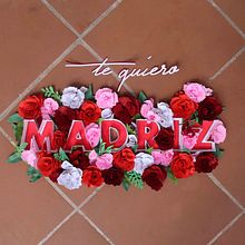 Madriz Carnation. Fine Arts, and Sculpture project by Marta Herrero Arias - 05.01.2021