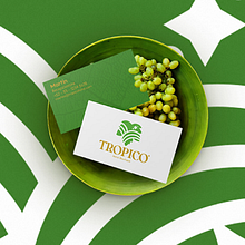Meu projeto do curso: Design de elementos gráficos para impulsionar sua marca -  Tropico Boutique Hotel. Design, Design de logotipo, e Design gráfico projeto de Rafael RDS - 02.03.2021