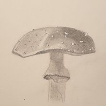 Mushroom Ein Projekt aus dem Bereich Bleistiftzeichnung von evro - 01.02.2021