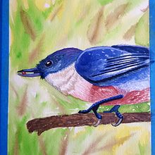Blue Bird. Un proyecto de Pintura a la acuarela de Melanie Teegarden - 01.02.2021