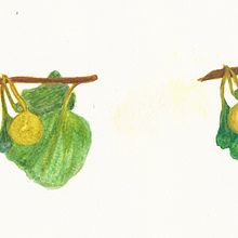 Proyecto eligiendo un estilo "Modelo" . Arte plastice de Lucrecia Olive - 02.03.2021