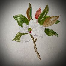 Mi Proyecto del curso: Ilustración botánica con acuarela. Watercolor Painting project by Marina Noirdis - 02.01.2021