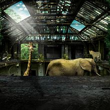 Jungle. Traditional illustration project by Pedro Cruz - 02.02.2021