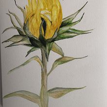 My project in Botanical Illustration with Watercolors course. Botanical Illustration, and Watercolor Painting project by paula_695438 - 02.02.2021
