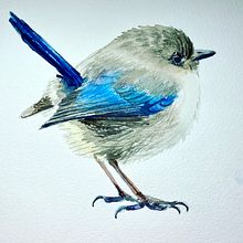 Mi Proyecto del curso: Ilustración naturalista de aves con acuarela. Watercolor Painting, Traditional illustration, Realistic Drawing, and Naturalistic Illustration project by Veronica Carrasco - 02.02.2021