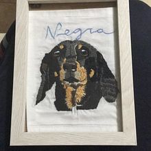Mi Proyecto del curso: Needle painting para principiantes. Embroider, and Naturalistic Illustration project by Emily Sanchez - 02.03.2021