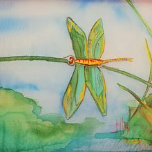 Libélula . Un proyecto de Teñido Textil de Carlos Baena - 03.02.2021