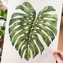 Mi Proyecto del curso: Acuarela botánica para estampados Ein Projekt aus dem Bereich Botanische Illustration und Aquarellmalerei von María Fernández - 03.02.2021