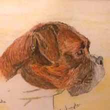 Bronte the Boxer. Watercolor Painting project by John Knapton - 02.09.2021