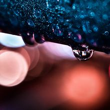 Después de la lluvia. Un proyecto de Fotografía y Fotografía artística de Alejandro A. Hernández - 18.09.2020