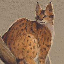 My project in Naturalist Animal Illustration with Procreate course. Een project van Digitale illustratie y Naturalistische illustratie van Aneta Urbanik - 04.02.2021
