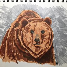 Grizzly bear. Artistic Drawing project by Jen S - 01.23.2021