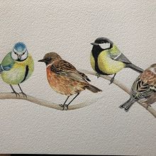 My project in Artistic Watercolor Techniques for Illustrating Birds course. Watercolor Painting project by AlexaB - 04.12.2021