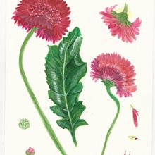 Nuevo proyecto Practica previa final . Desen realist de Lucrecia Olive - 02.05.2021